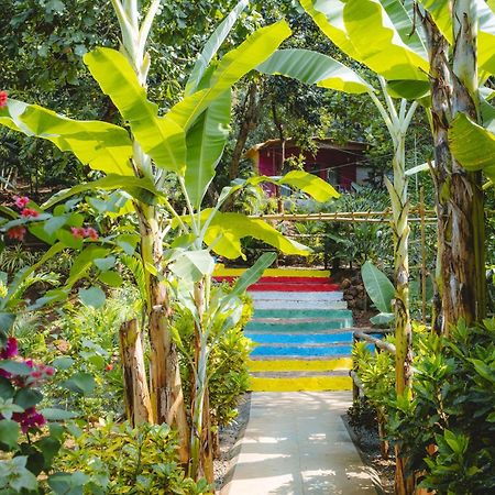 ホテル Samyama Retreat Cola エクステリア 写真