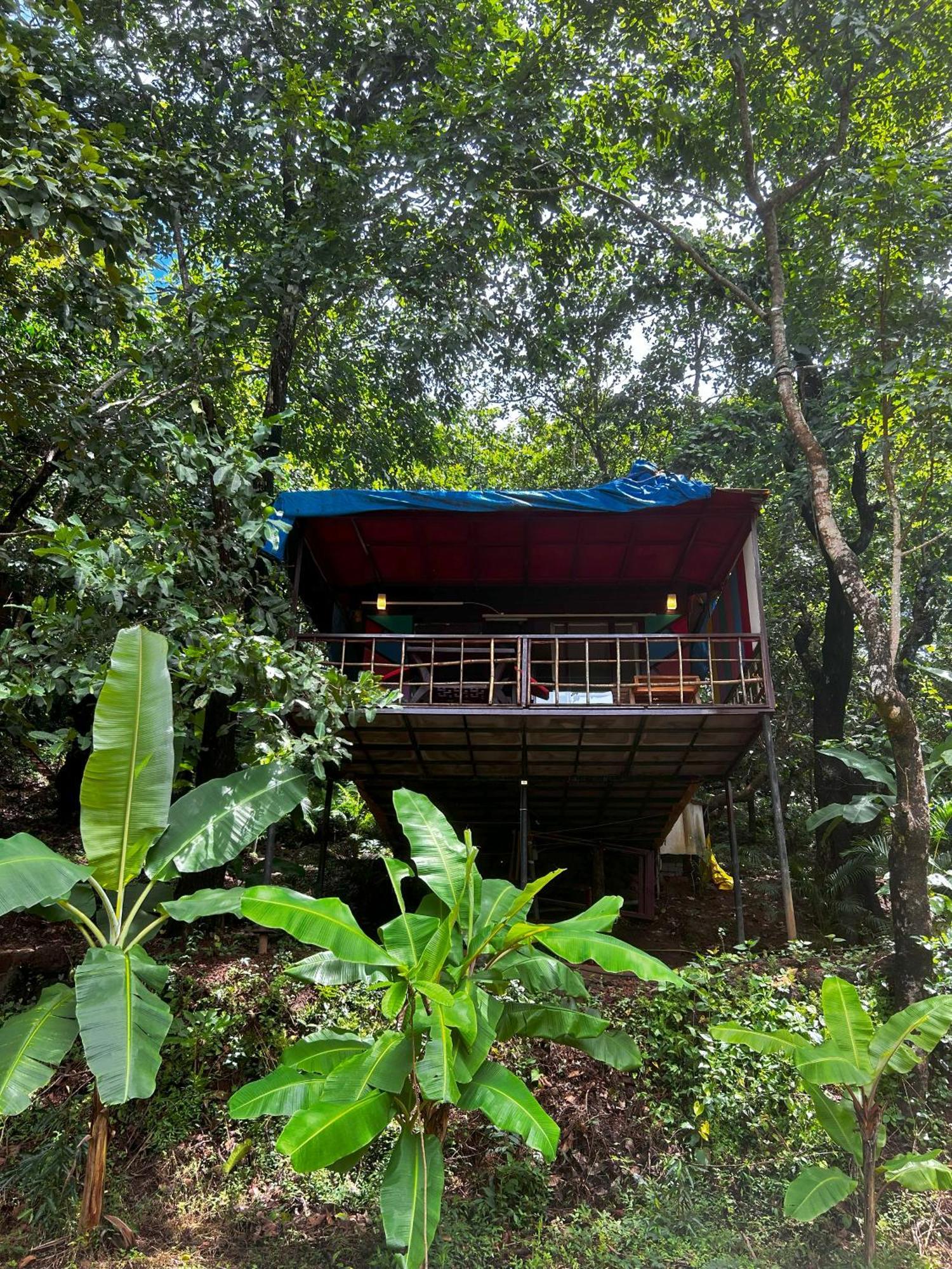 ホテル Samyama Retreat Cola エクステリア 写真