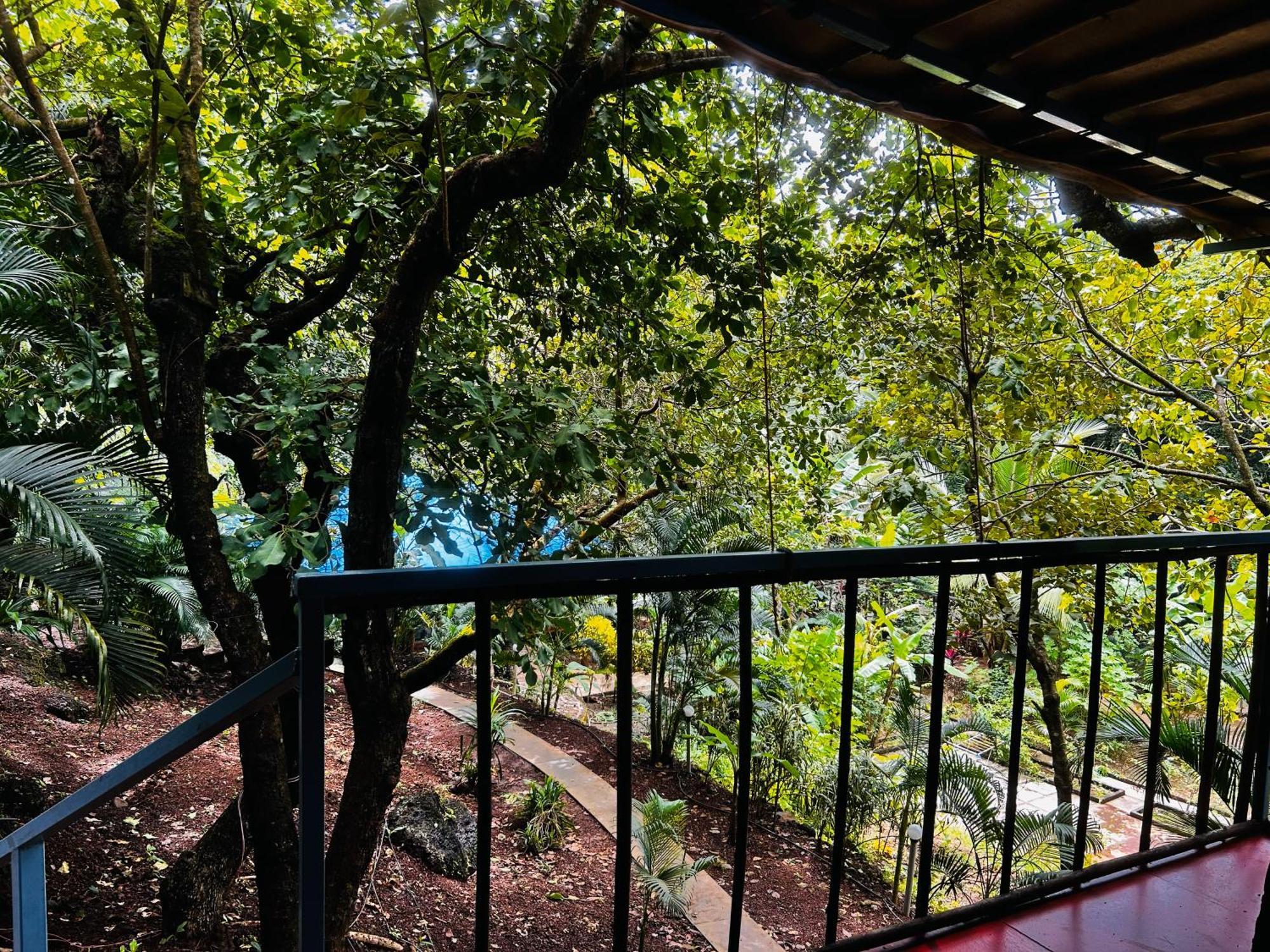 ホテル Samyama Retreat Cola エクステリア 写真