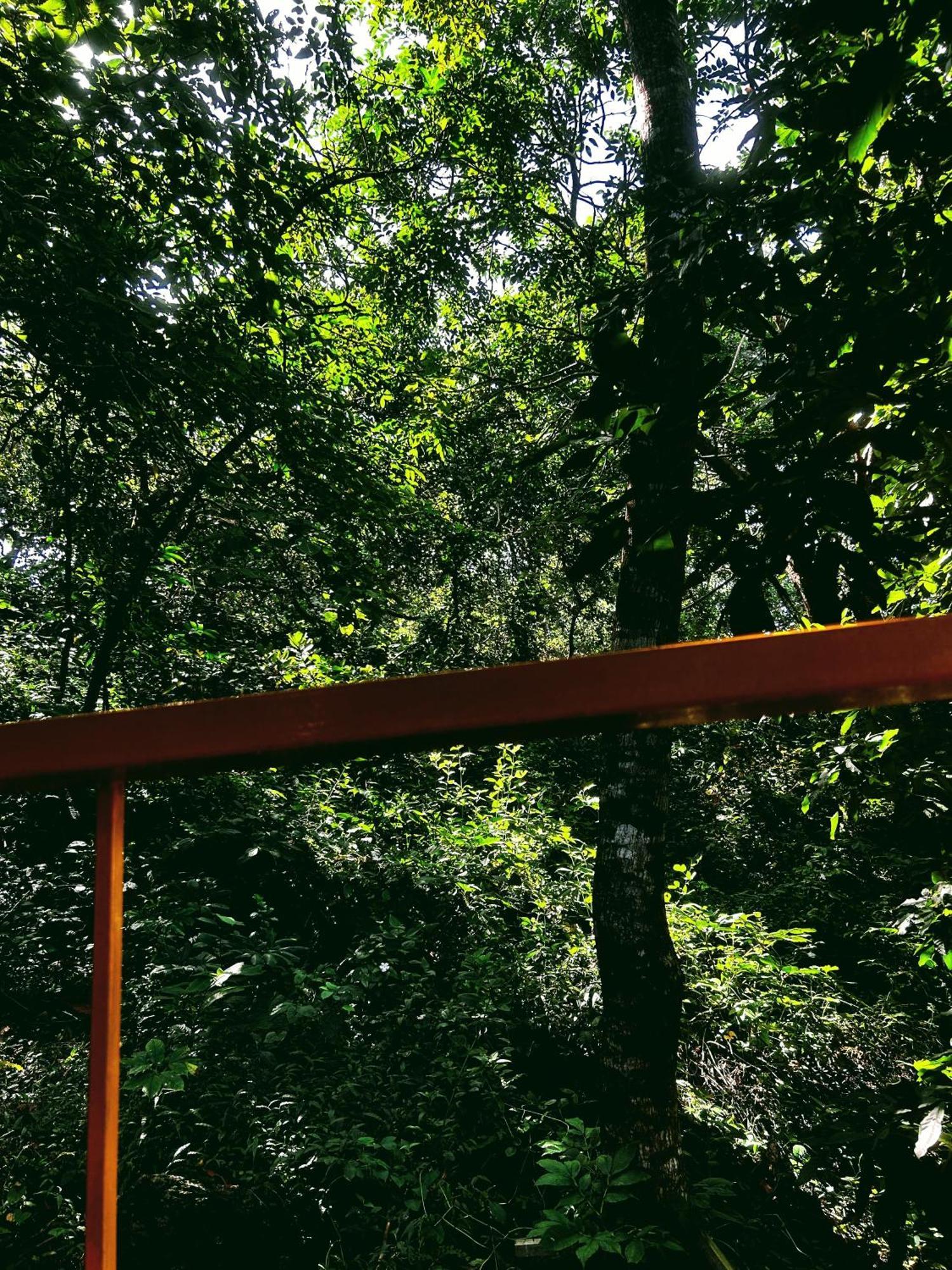 ホテル Samyama Retreat Cola エクステリア 写真