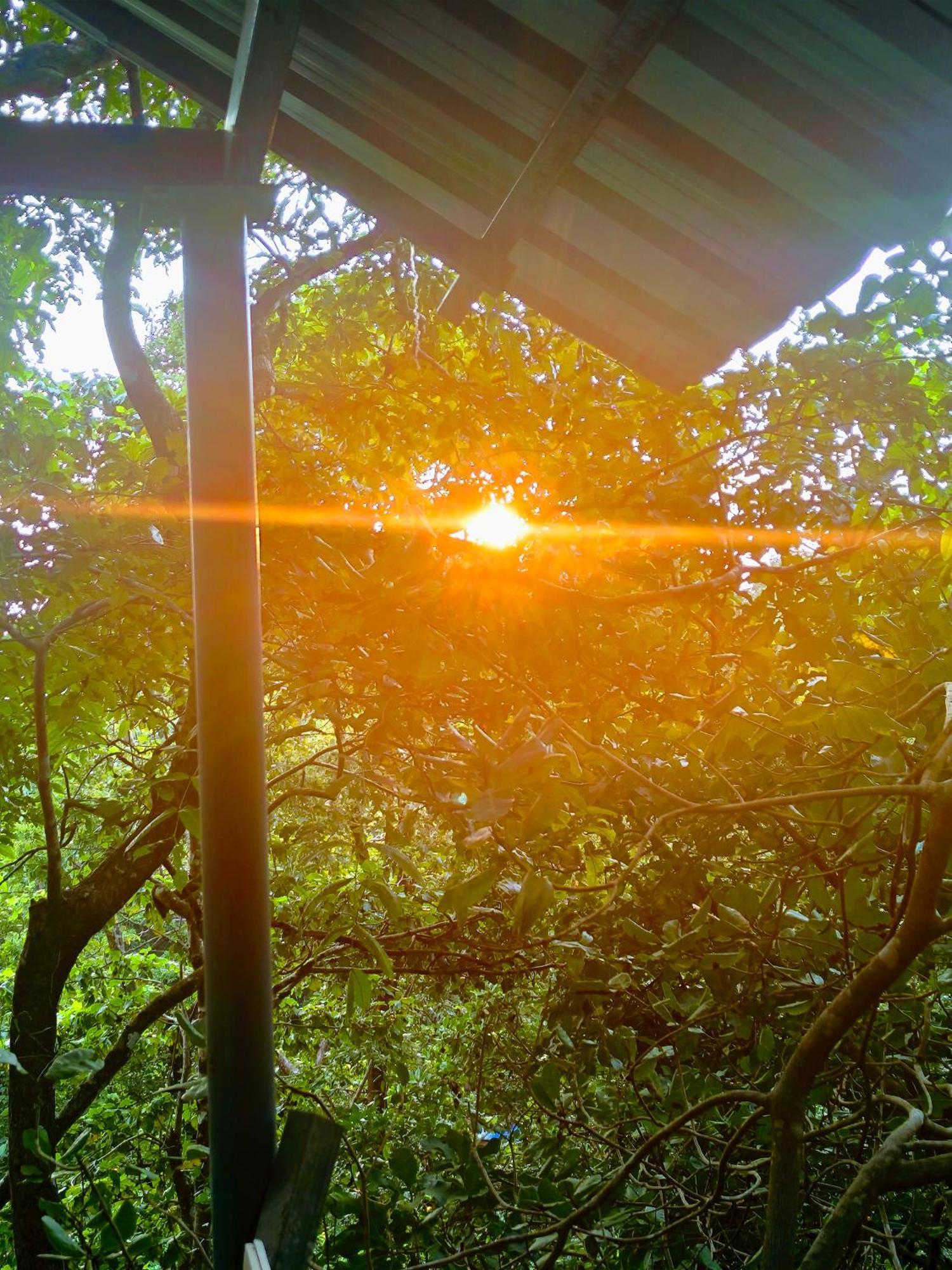 ホテル Samyama Retreat Cola エクステリア 写真